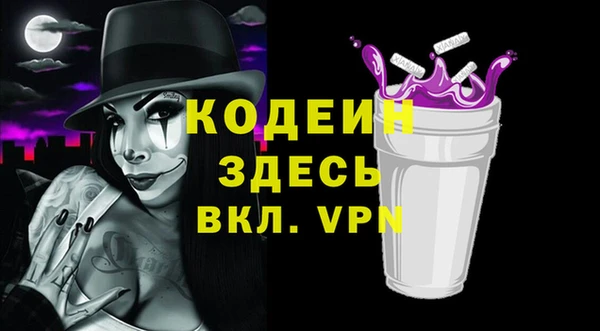 трава Корсаков