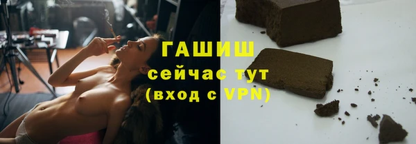трава Корсаков