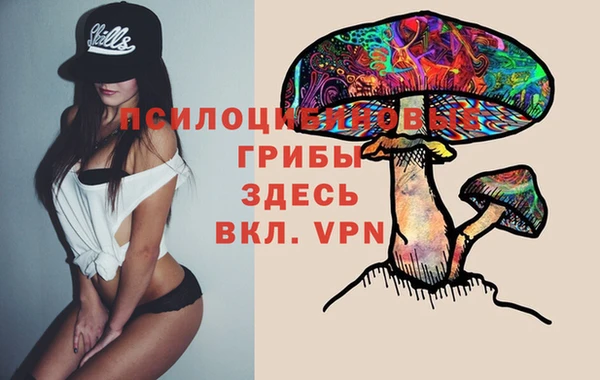 экстази Козловка
