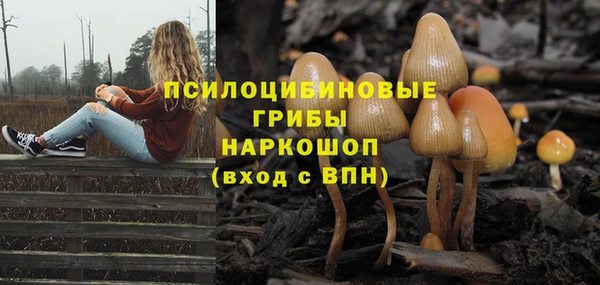 сатива Козельск